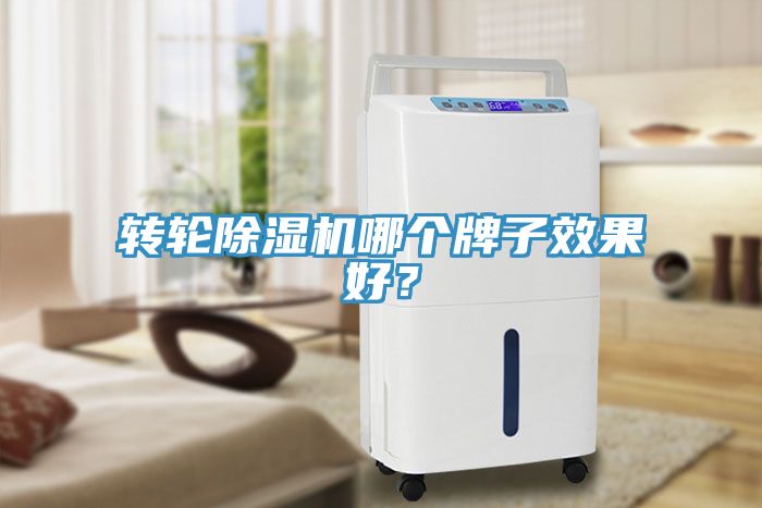 轉(zhuǎn)輪除濕機(jī)哪個牌子效果好？