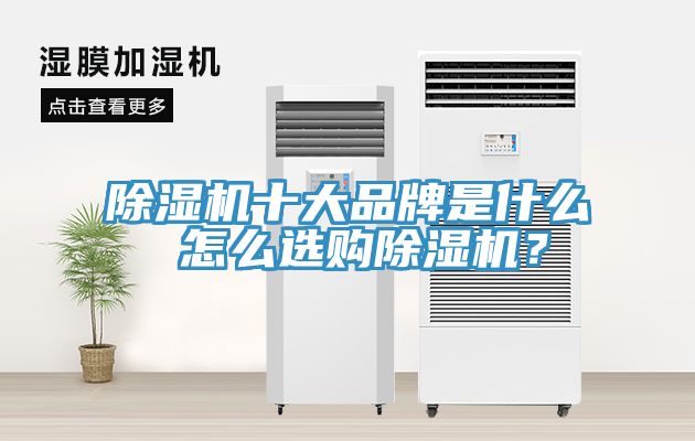除濕機(jī)十大品牌是什么 怎么選購除濕機(jī)？