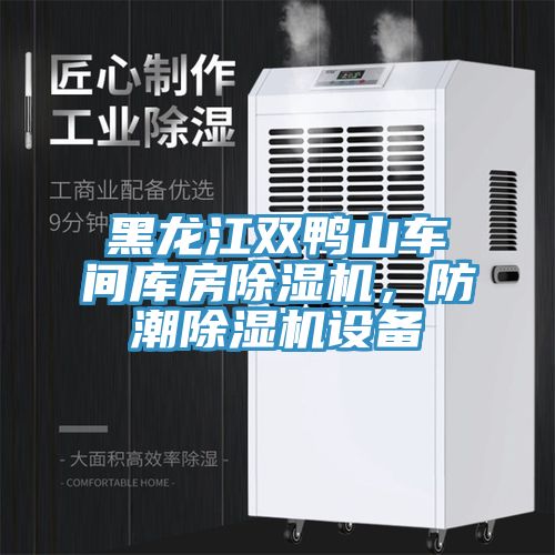 黑龍江雙鴨山車間庫(kù)房除濕機(jī)，防潮除濕機(jī)設(shè)備