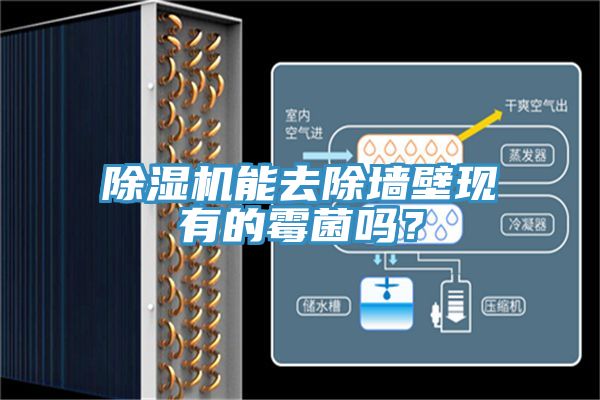 除濕機能去除墻壁現(xiàn)有的霉菌嗎？