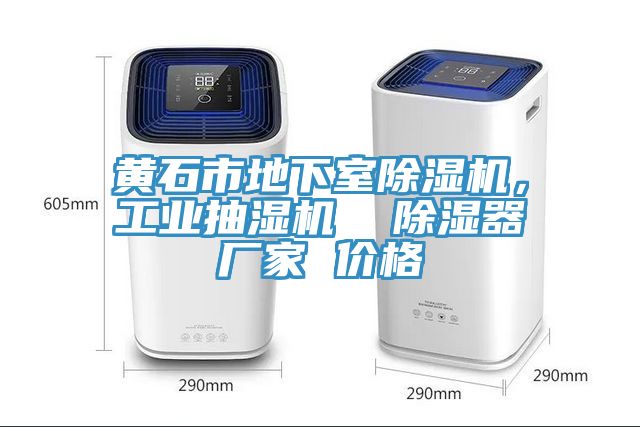 黃石市地下室除濕機(jī)，工業(yè)抽濕機(jī)  除濕器廠家 價(jià)格