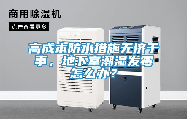 高成本防水措施無濟(jì)于事，地下室潮濕發(fā)霉怎么辦？
