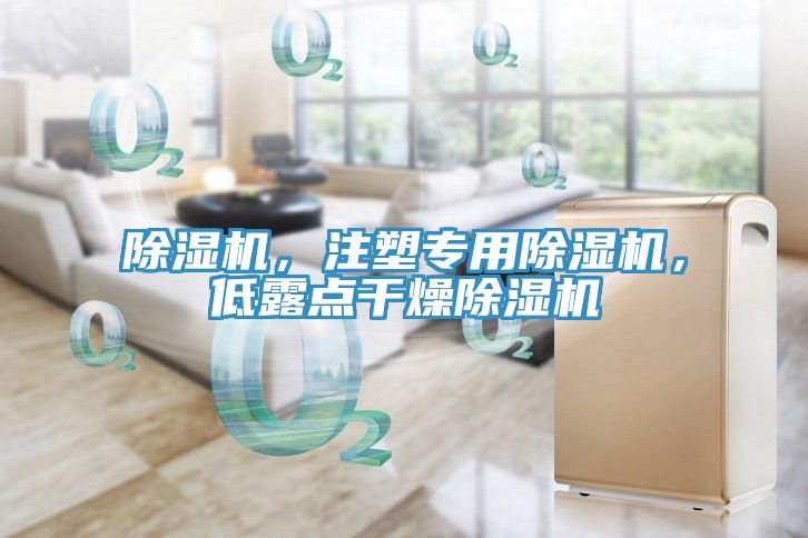 除濕機(jī)，注塑專用除濕機(jī)，低露點(diǎn)干燥除濕機(jī)