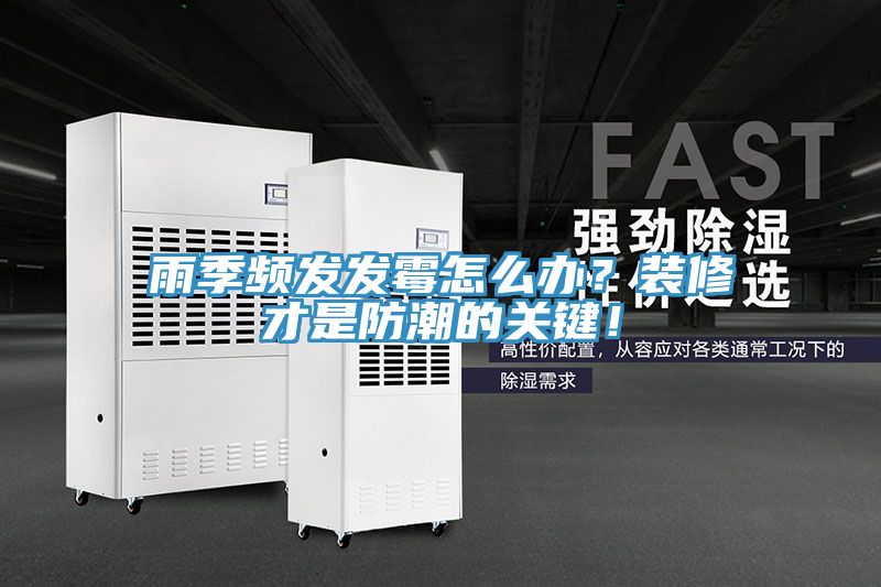 雨季頻發(fā)發(fā)霉怎么辦？裝修才是防潮的關鍵！