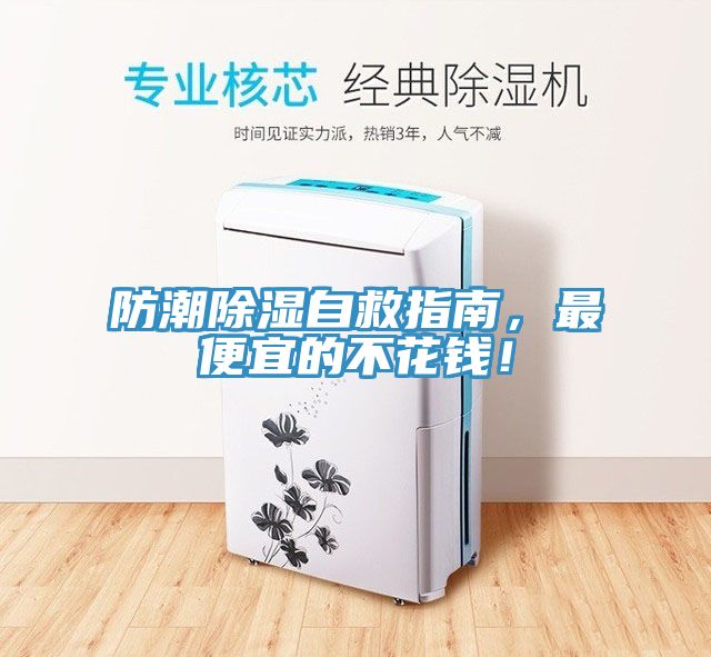 防潮除濕自救指南，最便宜的不花錢！