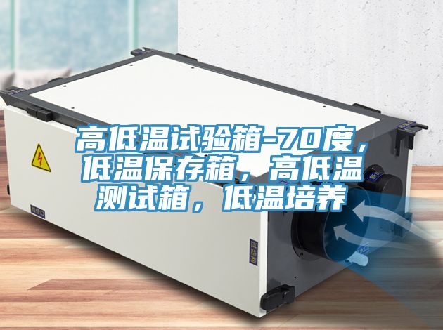 高低溫試驗箱-70度，低溫保存箱，高低溫測試箱，低溫培養(yǎng)