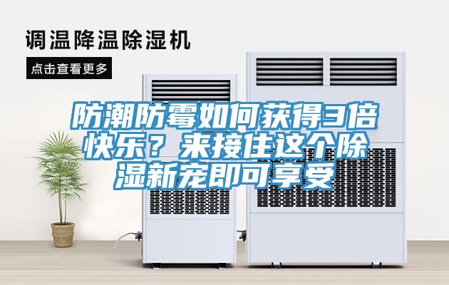 防潮防霉如何獲得3倍快樂？來接住這個除濕新寵即可享受
