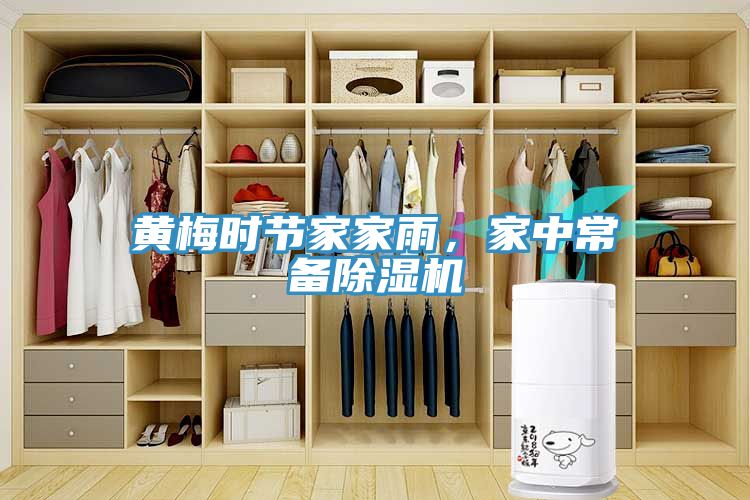 黃梅時(shí)節(jié)家家雨，家中常備除濕機(jī)