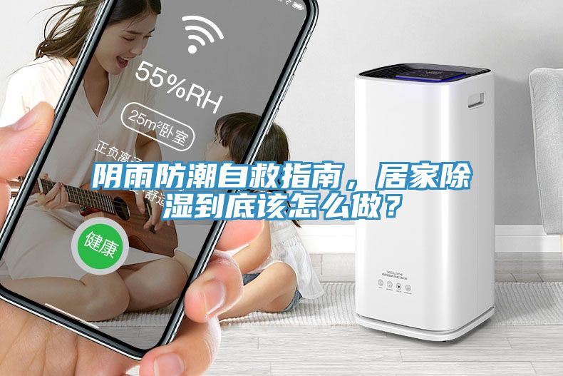 陰雨防潮自救指南，居家除濕到底該怎么做？