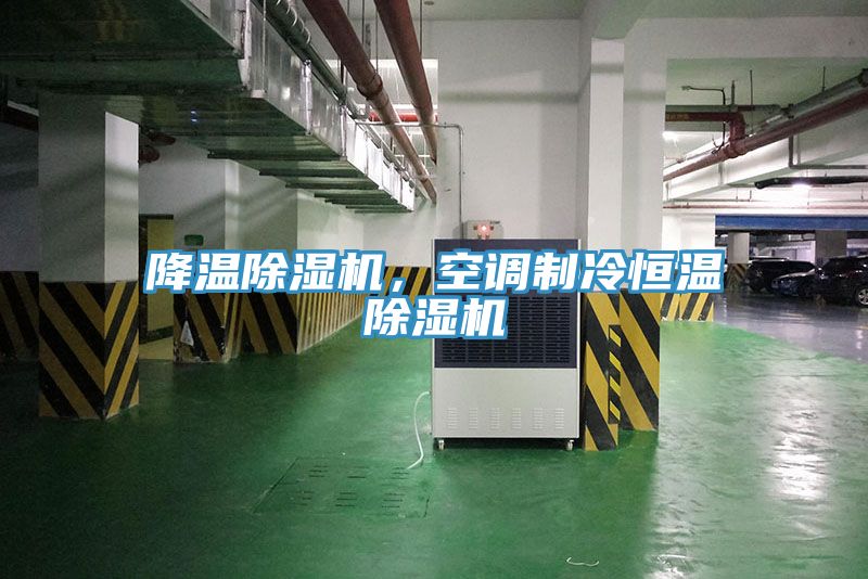 降溫除濕機(jī)，空調(diào)制冷恒溫除濕機(jī)
