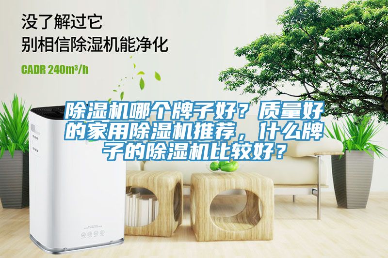 除濕機(jī)哪個(gè)牌子好？質(zhì)量好的家用除濕機(jī)推薦，什么牌子的除濕機(jī)比較好？