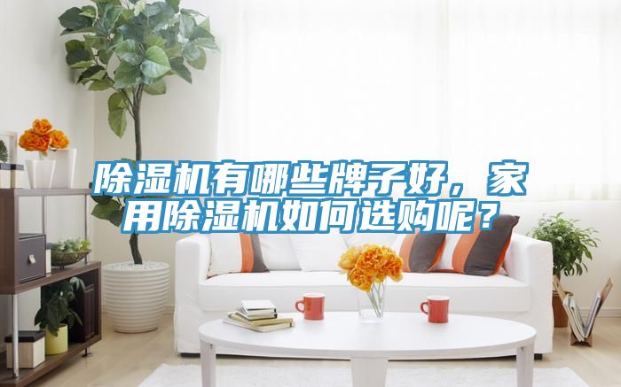 除濕機(jī)有哪些牌子好，家用除濕機(jī)如何選購(gòu)呢？