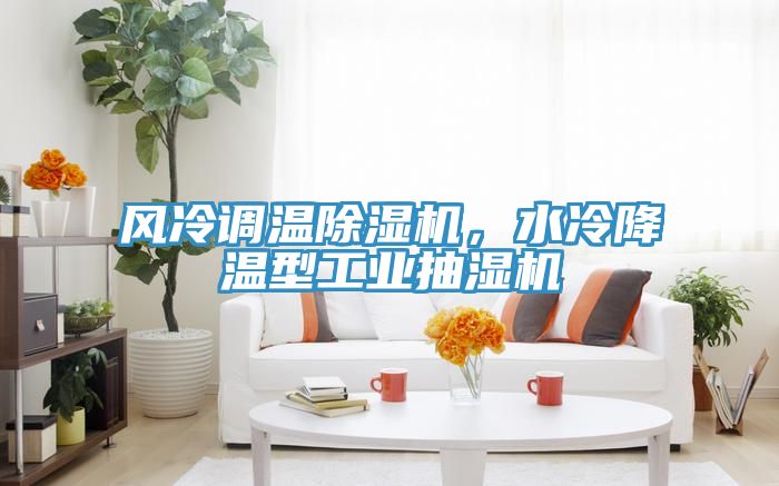 風(fēng)冷調(diào)溫除濕機(jī)，水冷降溫型工業(yè)抽濕機(jī)