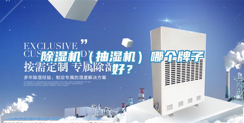 除濕機(jī)（抽濕機(jī)）哪個(gè)牌子好？