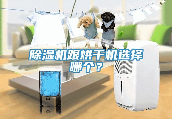 除濕機(jī)跟烘干機(jī)選擇哪個(gè)？