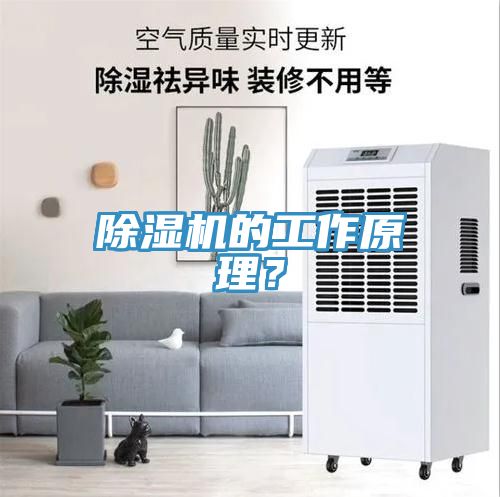 除濕機的工作原理？