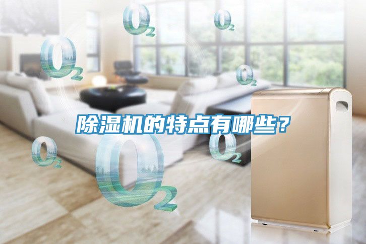 除濕機(jī)的特點(diǎn)有哪些？