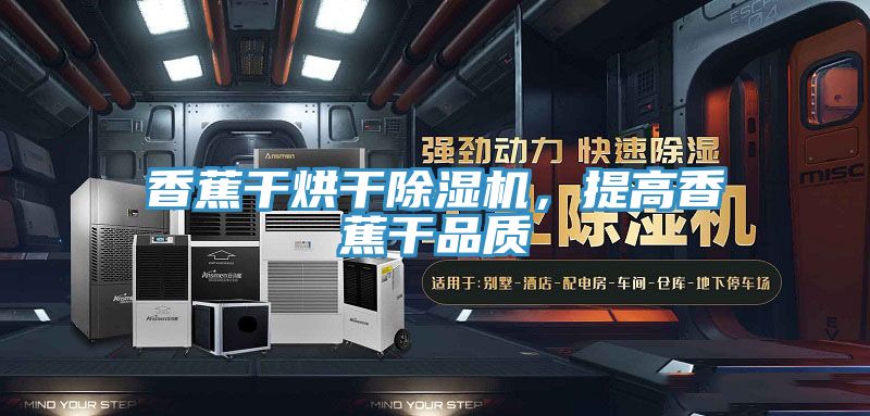 香蕉干烘干除濕機(jī)，提高香蕉干品質(zhì)