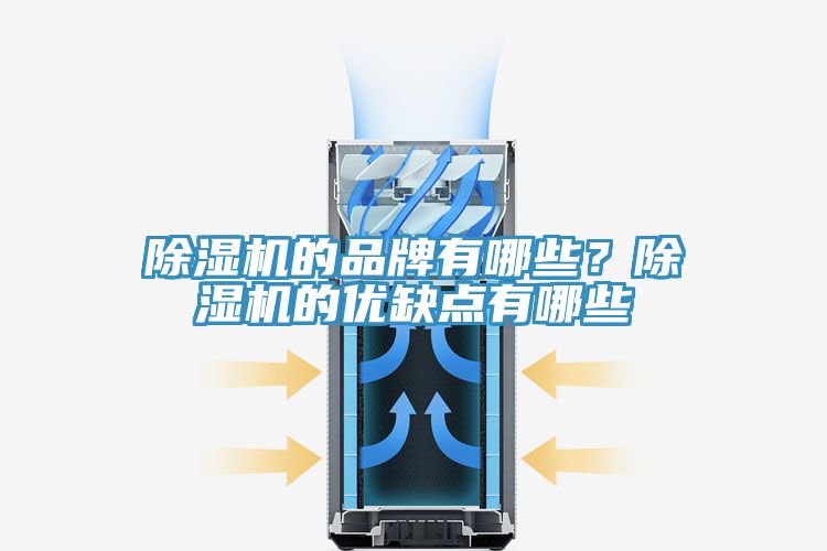 除濕機的品牌有哪些？除濕機的優(yōu)缺點有哪些