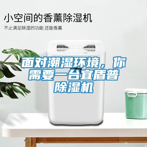 面對潮濕環(huán)境，你需要一臺宜盾普除濕機