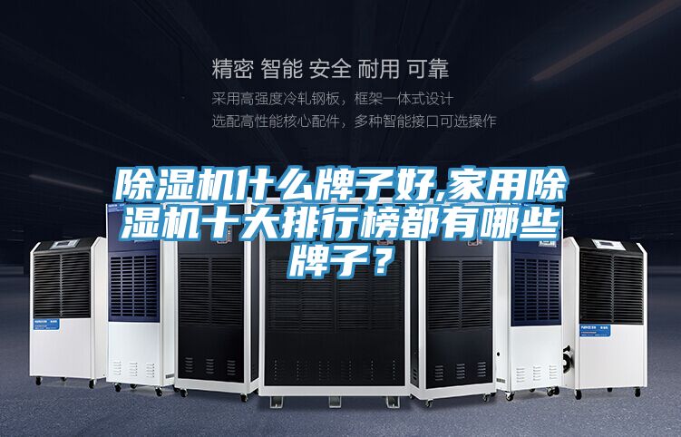 除濕機(jī)什么牌子好,家用除濕機(jī)十大排行榜都有哪些牌子？