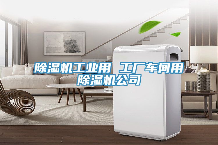 除濕機(jī)工業(yè)用 工廠車(chē)間用除濕機(jī)公司