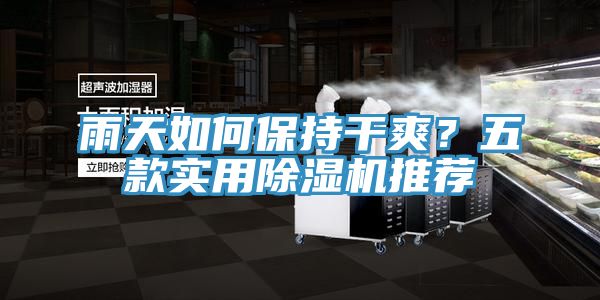 雨天如何保持干爽？五款實用除濕機推薦