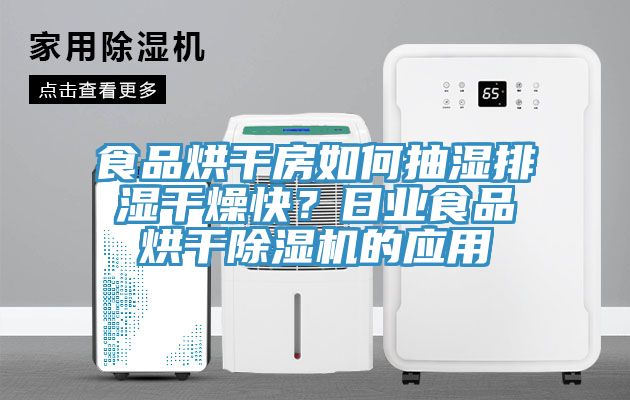 食品烘干房如何抽濕排濕干燥快？日業(yè)食品烘干除濕機(jī)的應(yīng)用