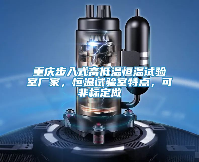 重慶步入式高低溫恒溫試驗室廠家，恒溫試驗室特點，可非標(biāo)定做