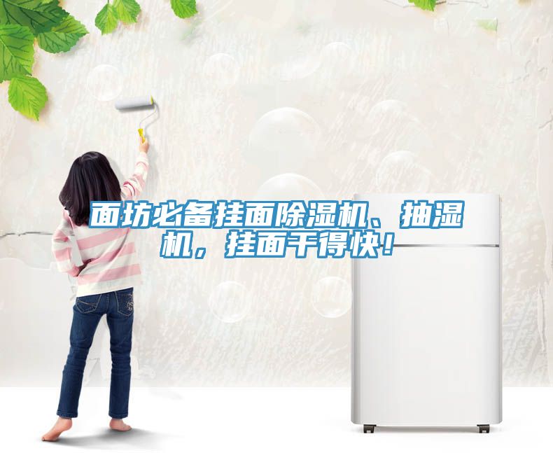 面坊必備掛面除濕機、抽濕機，掛面干得快！