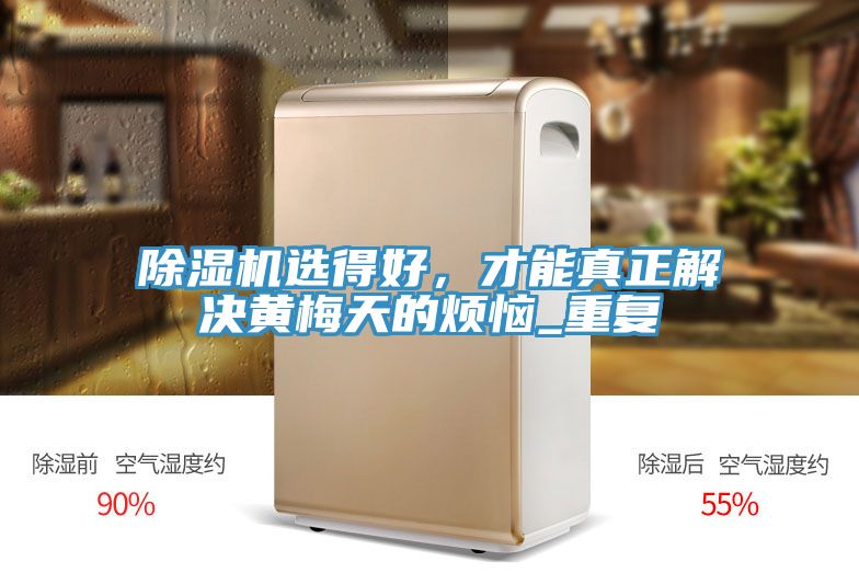 除濕機選得好，才能真正解決黃梅天的煩惱_重復(fù)