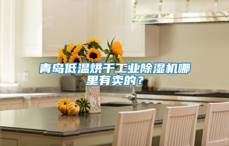 青島低溫烘干工業(yè)除濕機哪里有賣的？