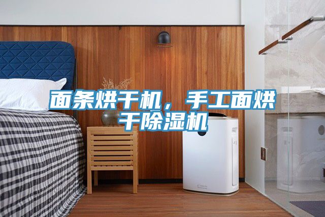 面條烘干機，手工面烘干除濕機