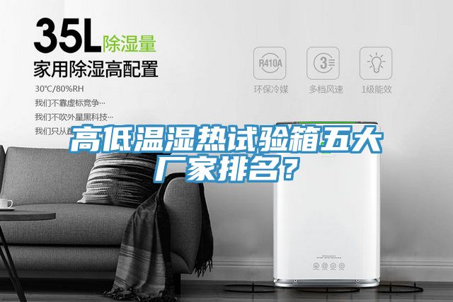 高低溫濕熱試驗(yàn)箱五大廠家排名？