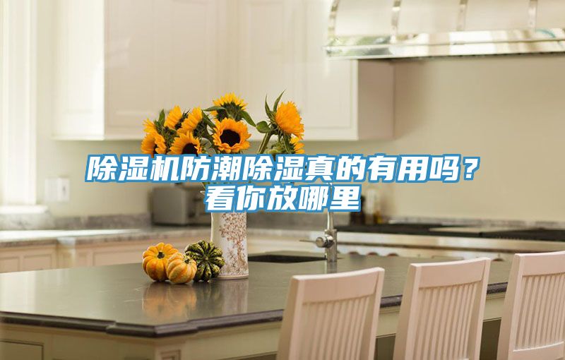 除濕機防潮除濕真的有用嗎？看你放哪里