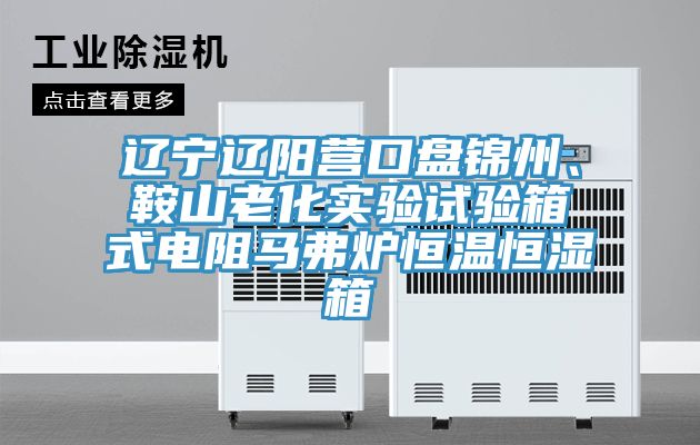 遼寧遼陽營口盤錦州、鞍山老化實(shí)驗(yàn)試驗(yàn)箱式電阻馬弗爐恒溫恒濕箱