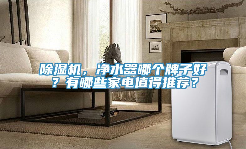 除濕機(jī)，凈水器哪個牌子好？有哪些家電值得推薦？