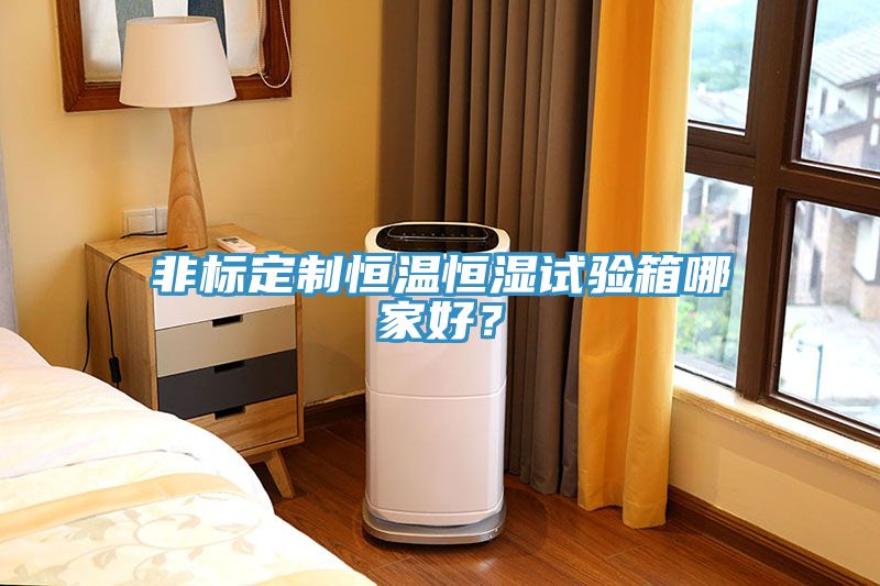 非標定制恒溫恒濕試驗箱哪家好？