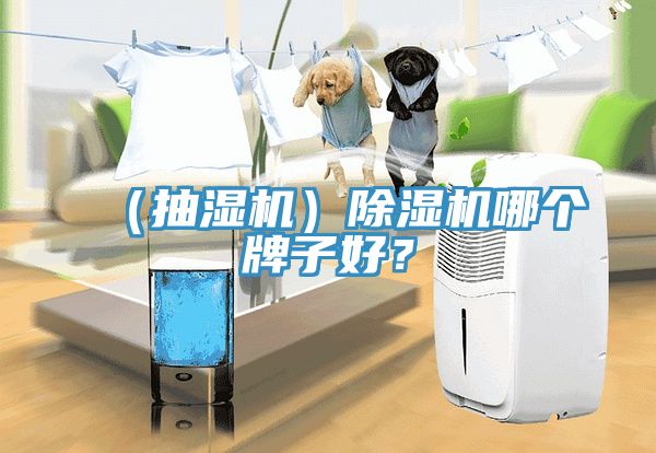 （抽濕機(jī)）除濕機(jī)哪個(gè)牌子好？