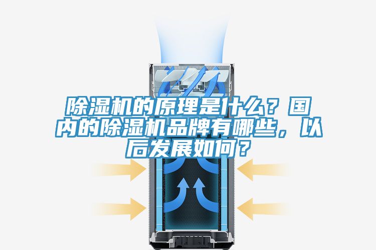 除濕機的原理是什么？國內(nèi)的除濕機品牌有哪些，以后發(fā)展如何？