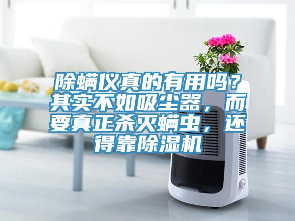 除螨儀真的有用嗎？其實(shí)不如吸塵器，而要真正殺滅螨蟲(chóng)，還得靠除濕機(jī)