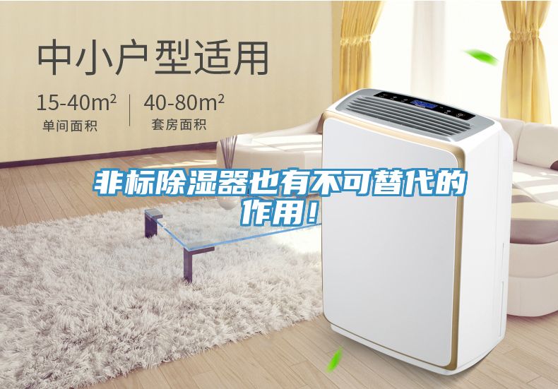 非標除濕器也有不可替代的作用！