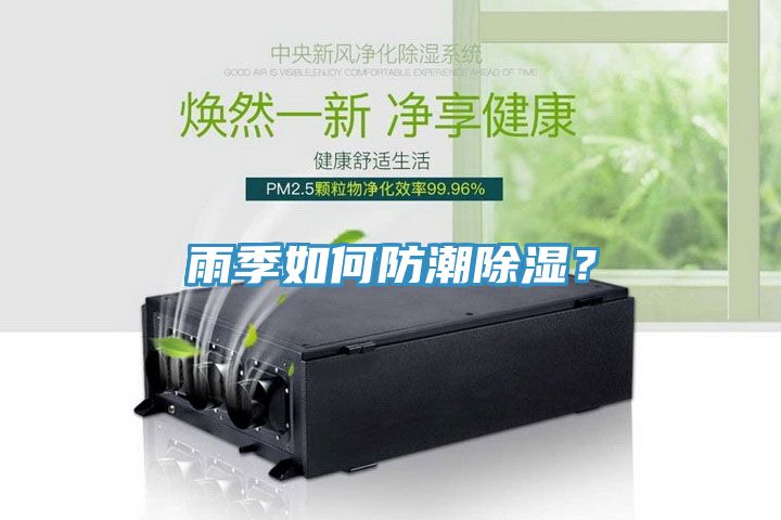 雨季如何防潮除濕？