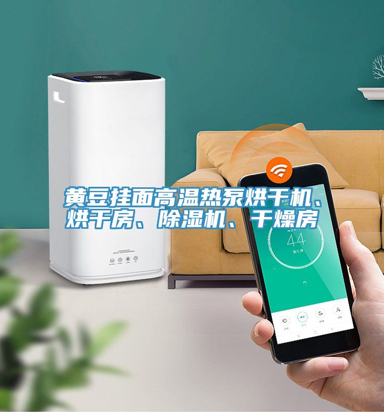 黃豆掛面高溫?zé)岜煤娓蓹C(jī)、烘干房、除濕機(jī)、干燥房