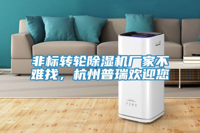 非標(biāo)轉(zhuǎn)輪除濕機(jī)廠家不難找，杭州普瑞歡迎您