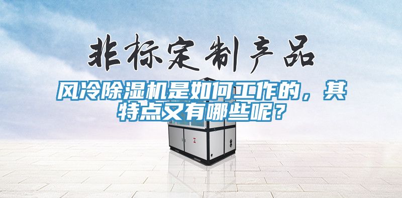 風(fēng)冷除濕機(jī)是如何工作的，其特點(diǎn)又有哪些呢？