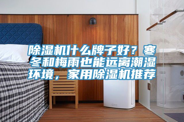除濕機(jī)什么牌子好？寒冬和梅雨也能遠(yuǎn)離潮濕環(huán)境，家用除濕機(jī)推薦
