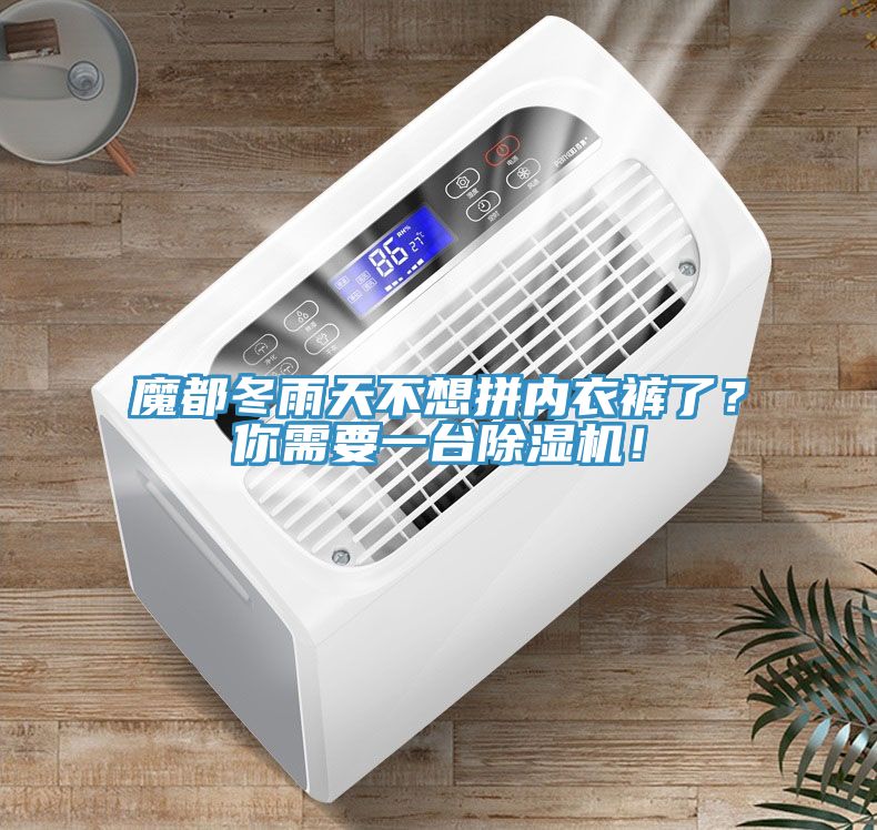 魔都冬雨天不想拼內(nèi)衣褲了？你需要一臺(tái)除濕機(jī)！