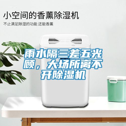 雨水隔三差五光顧，大場所離不開除濕機(jī)