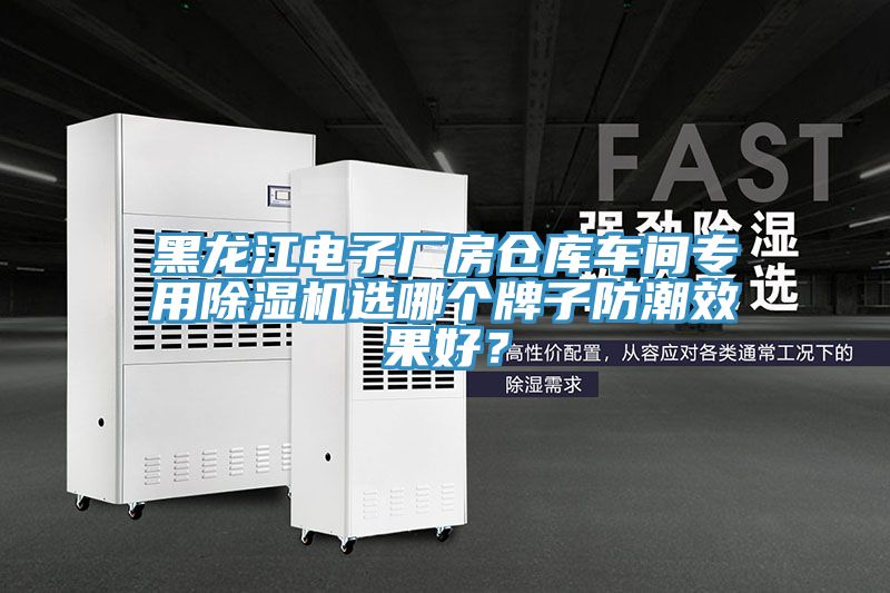 黑龍江電子廠房倉(cāng)庫(kù)車間專用除濕機(jī)選哪個(gè)牌子防潮效果好？